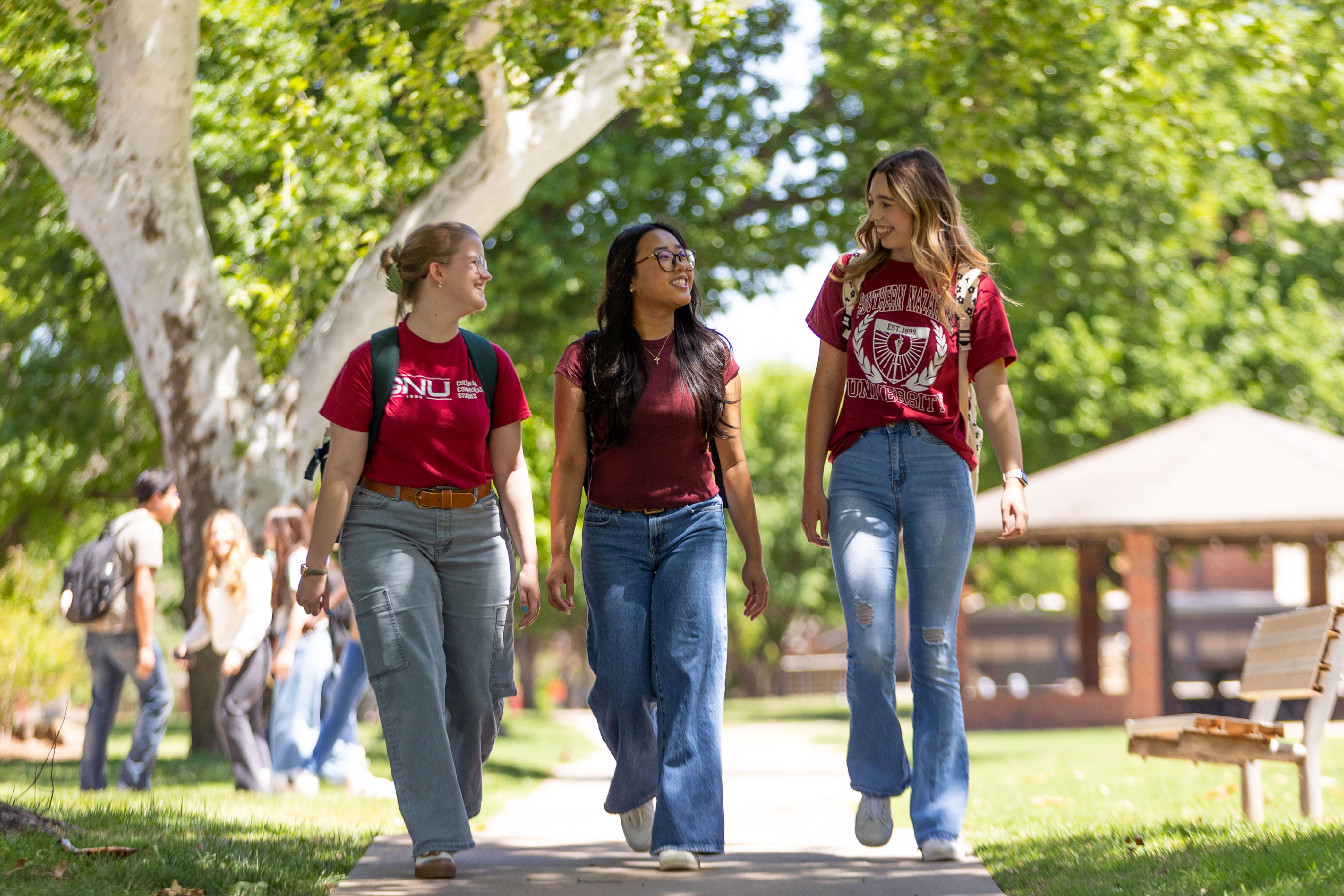 Southern Nazarene University image