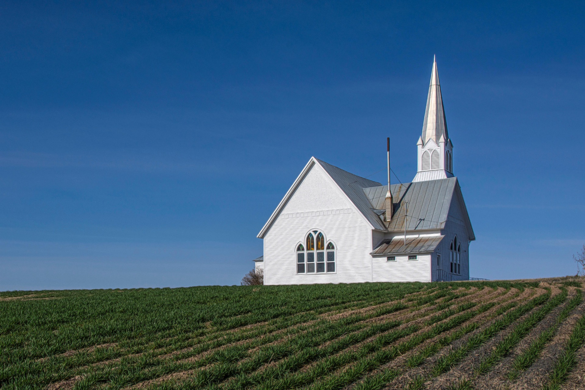 white church in field