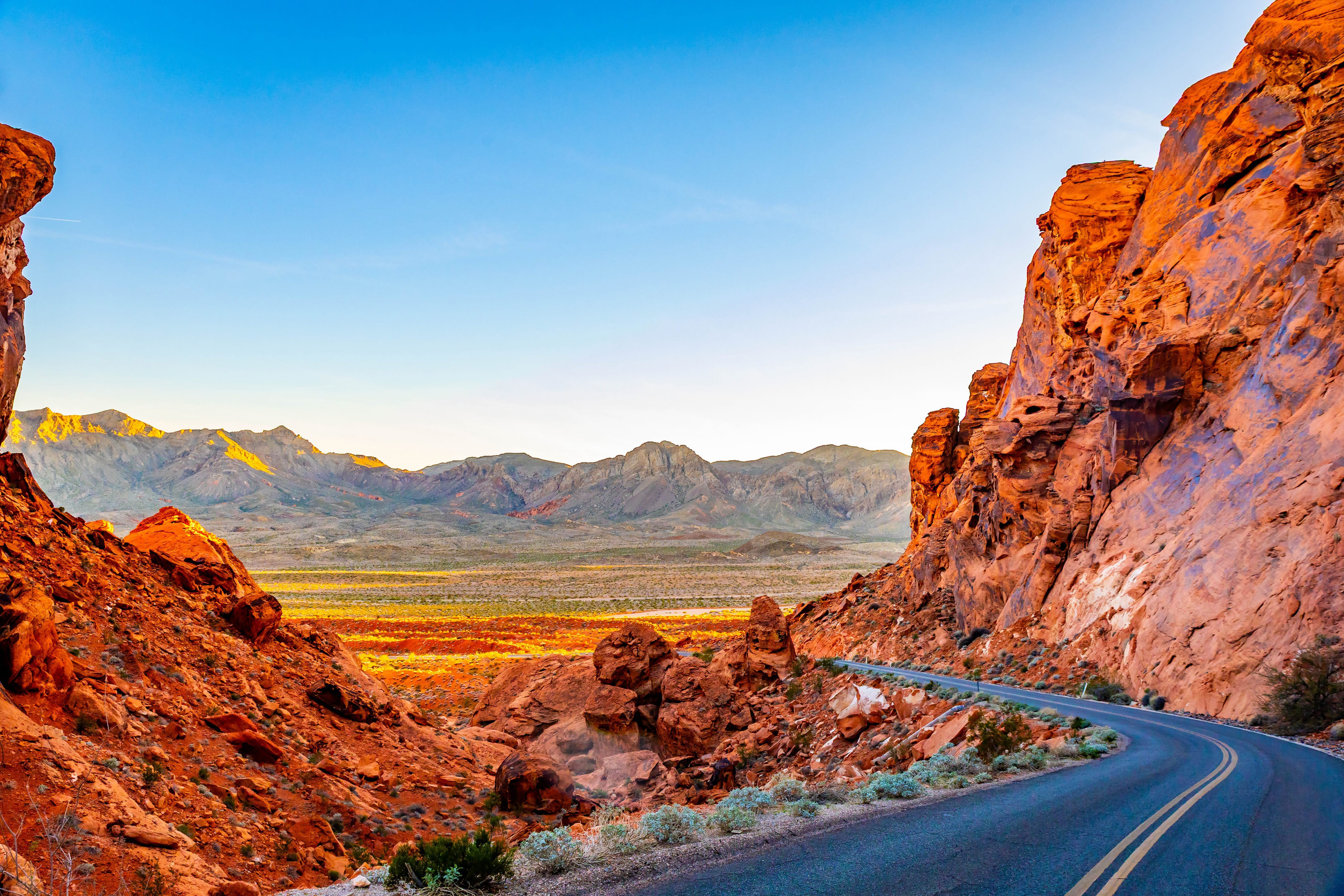 Desert landscape