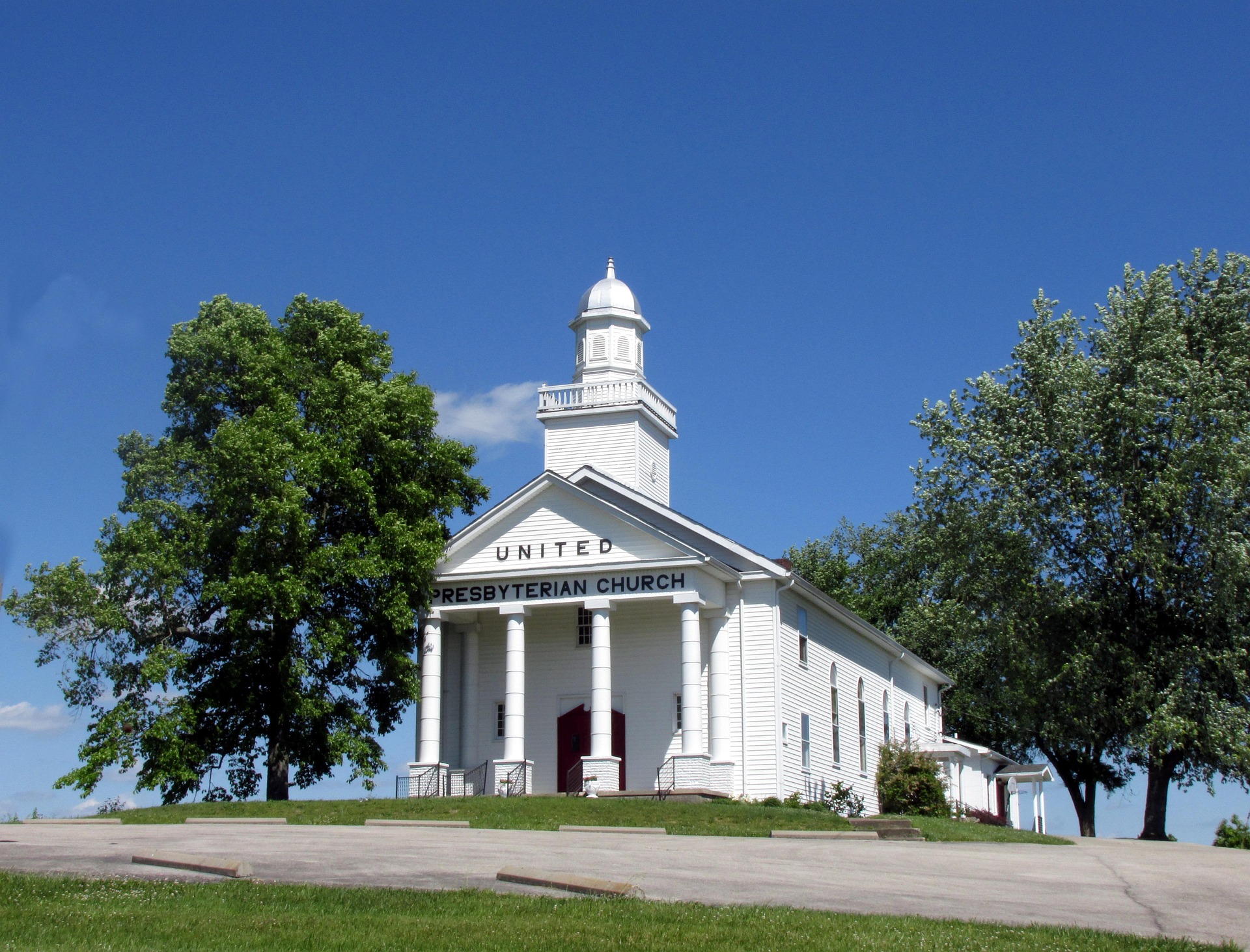 white church building and trees