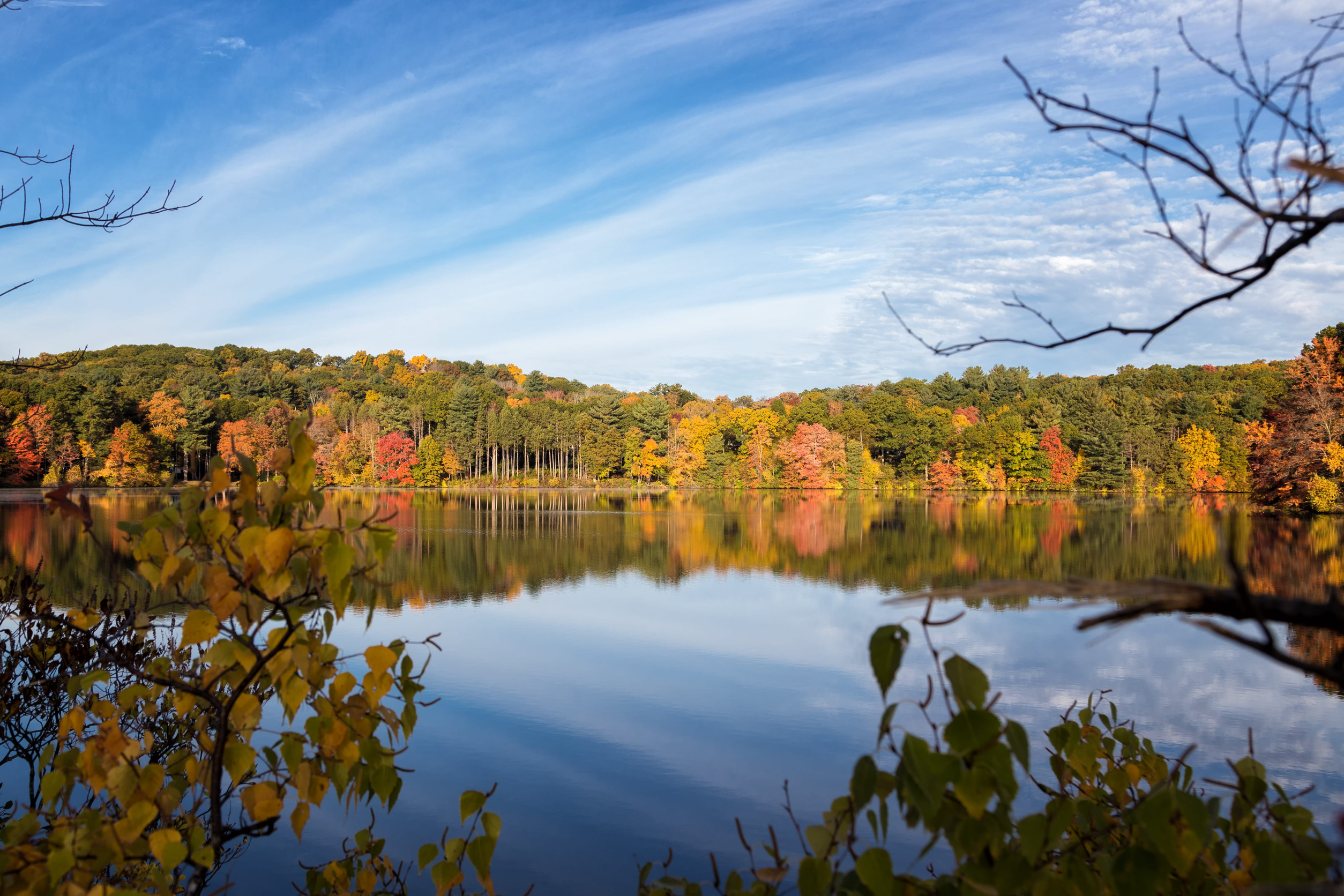 view of lake and fall colored trees
